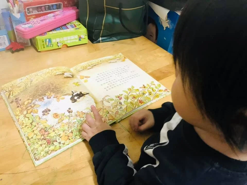 剃羊毛之前，來看個綿羊的繪本吧！
