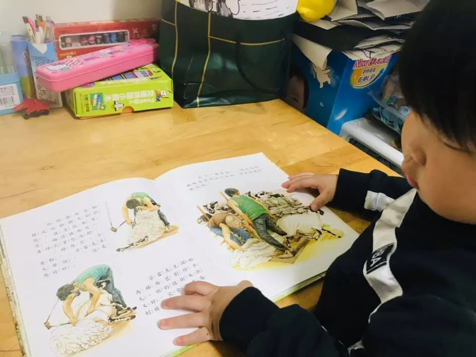 農場主人在幫綿羊們剃毛