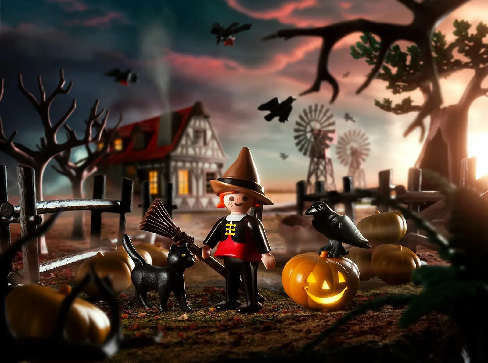 圖片來源：Playmobil