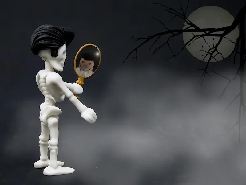圖片來源：Playmobil