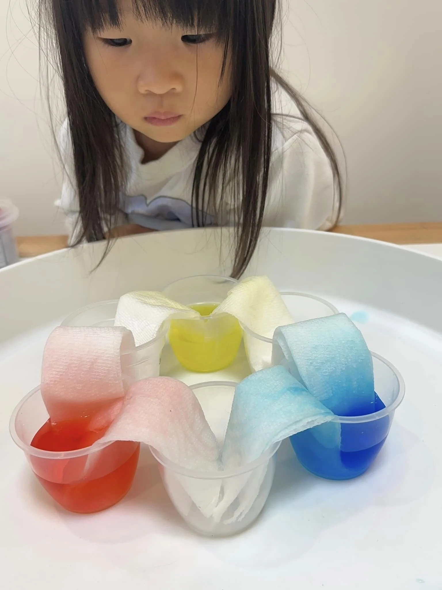 毛細現象是什麼 ? 5 個超簡單的幼兒手作、STEAM實驗遊戲教你玩！【2025年版】