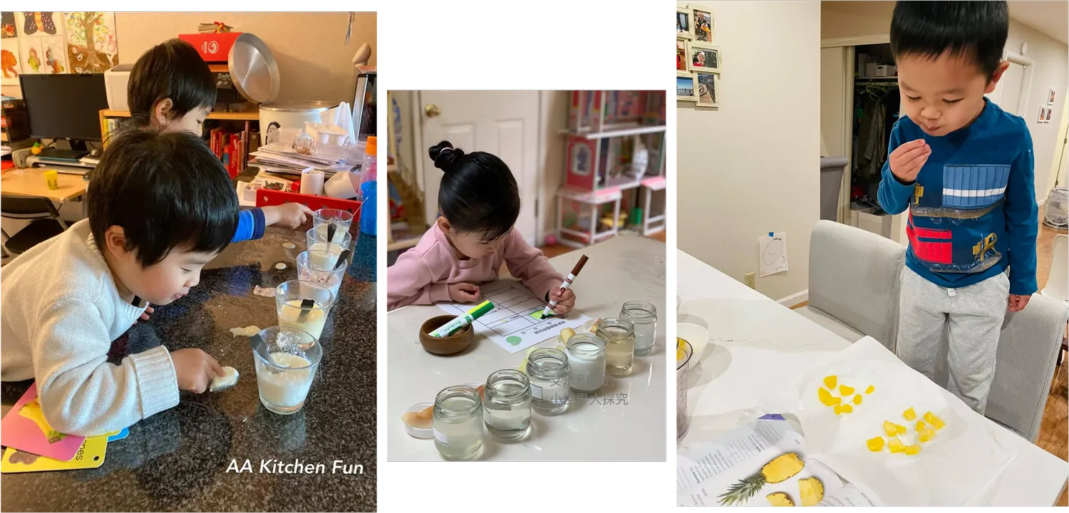 幼兒科學遊戲怎麼玩才有趣？帶你玩5個超有創意的蔬果科學遊戲