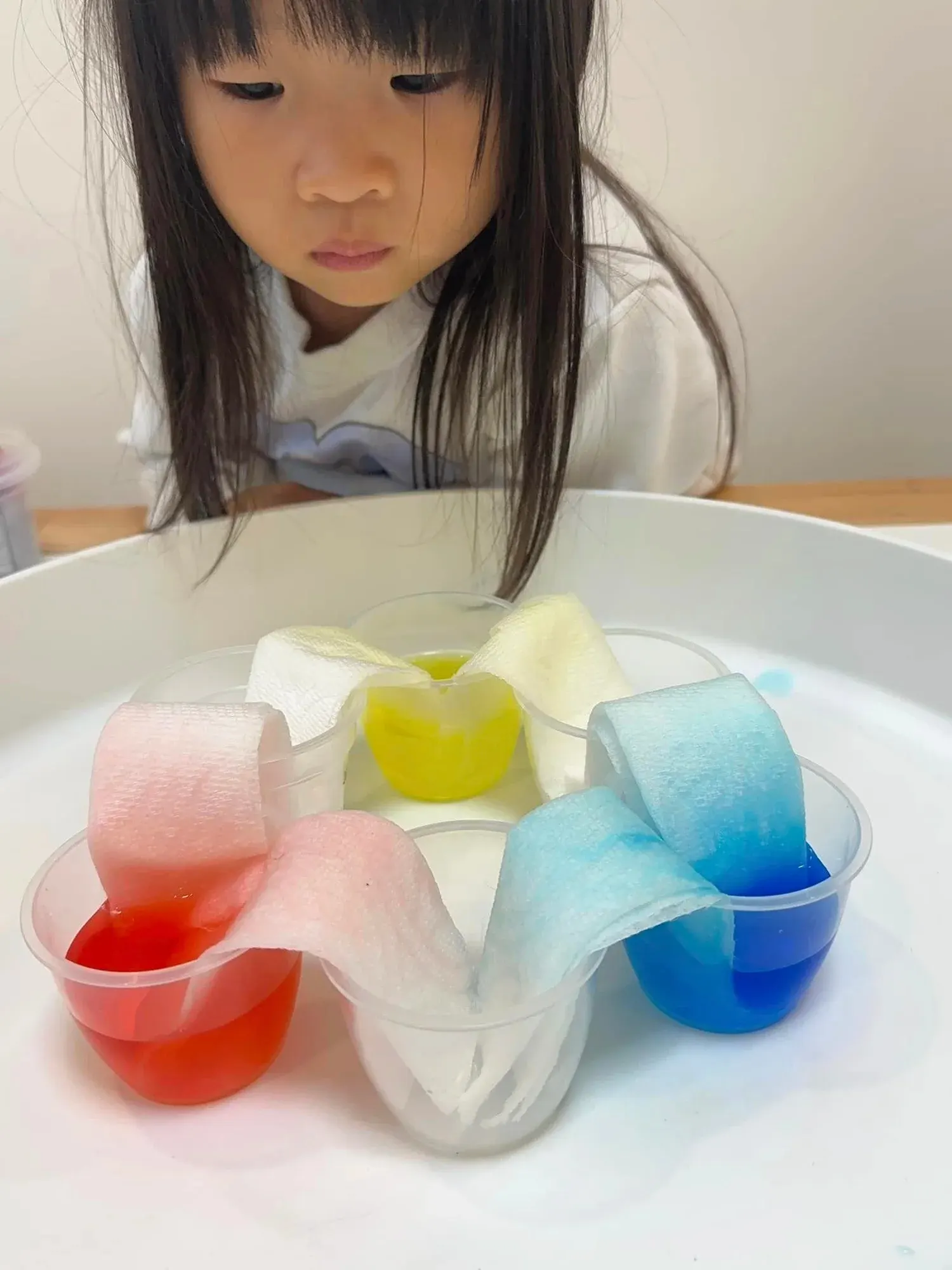 毛細現象是什麼 ? 5 個超簡單的幼兒手作、STEAM實驗遊戲教你玩！