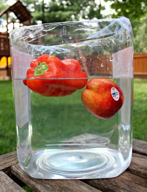 Toybrains.com_5-water-science-activities-for-kids_3.jpg