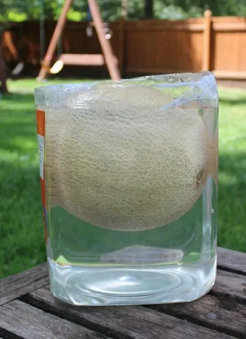 Toybrains.com_5-water-science-activities-for-kids_3-3.jpg