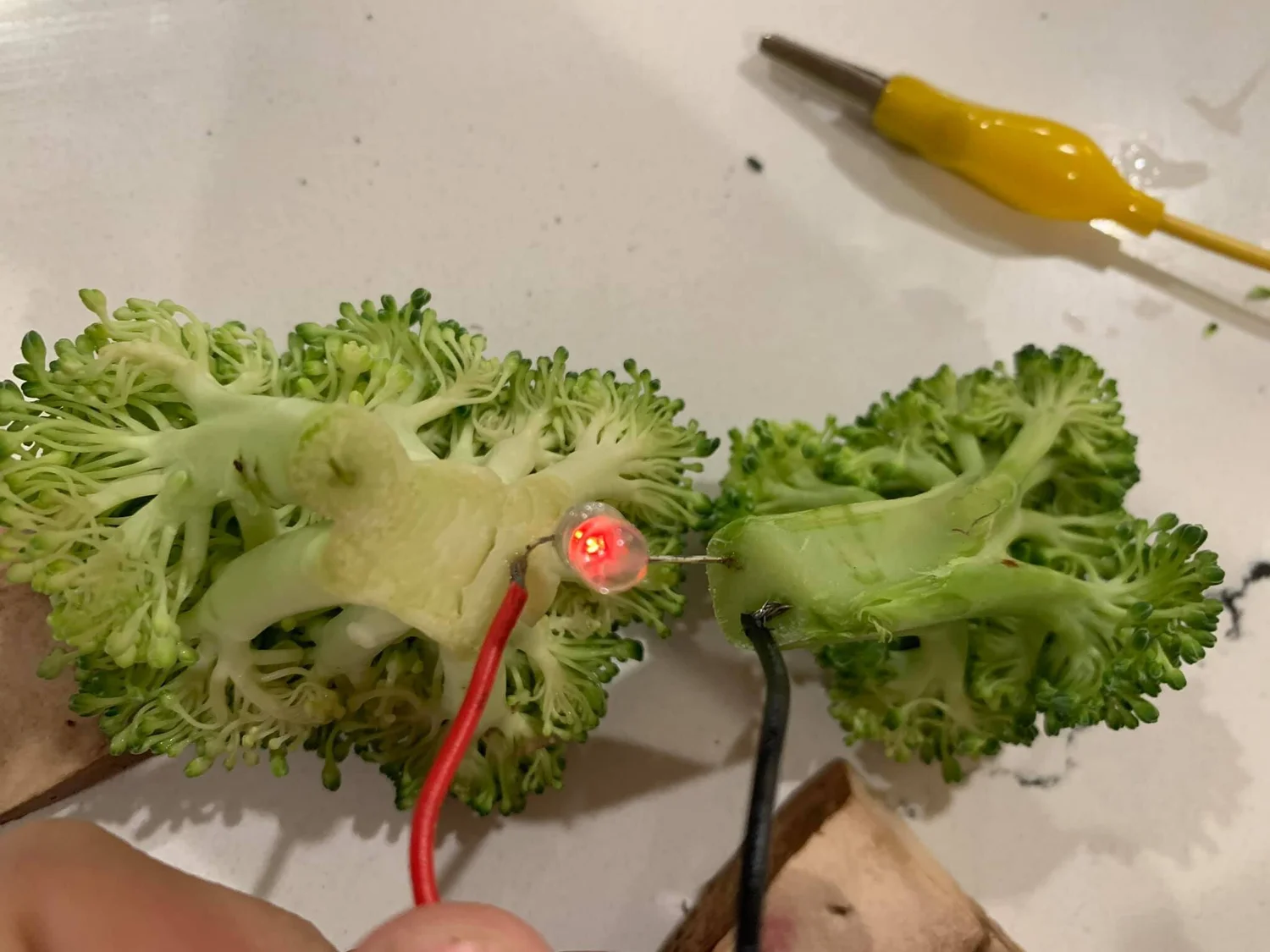 為什麼蔬菜可以導電？3種超STEM的導電實驗方法