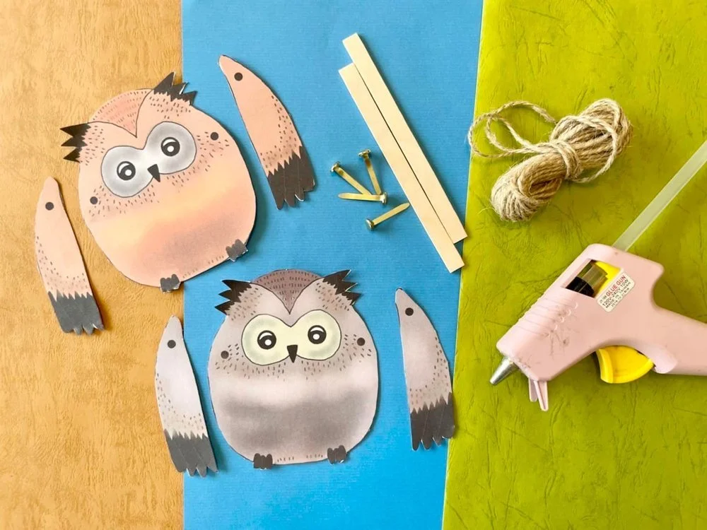 幼兒貓頭鷹勞作！跟著Fairykids一起讀繪本、做翅膀會動的小貓頭鷹（免費下載）