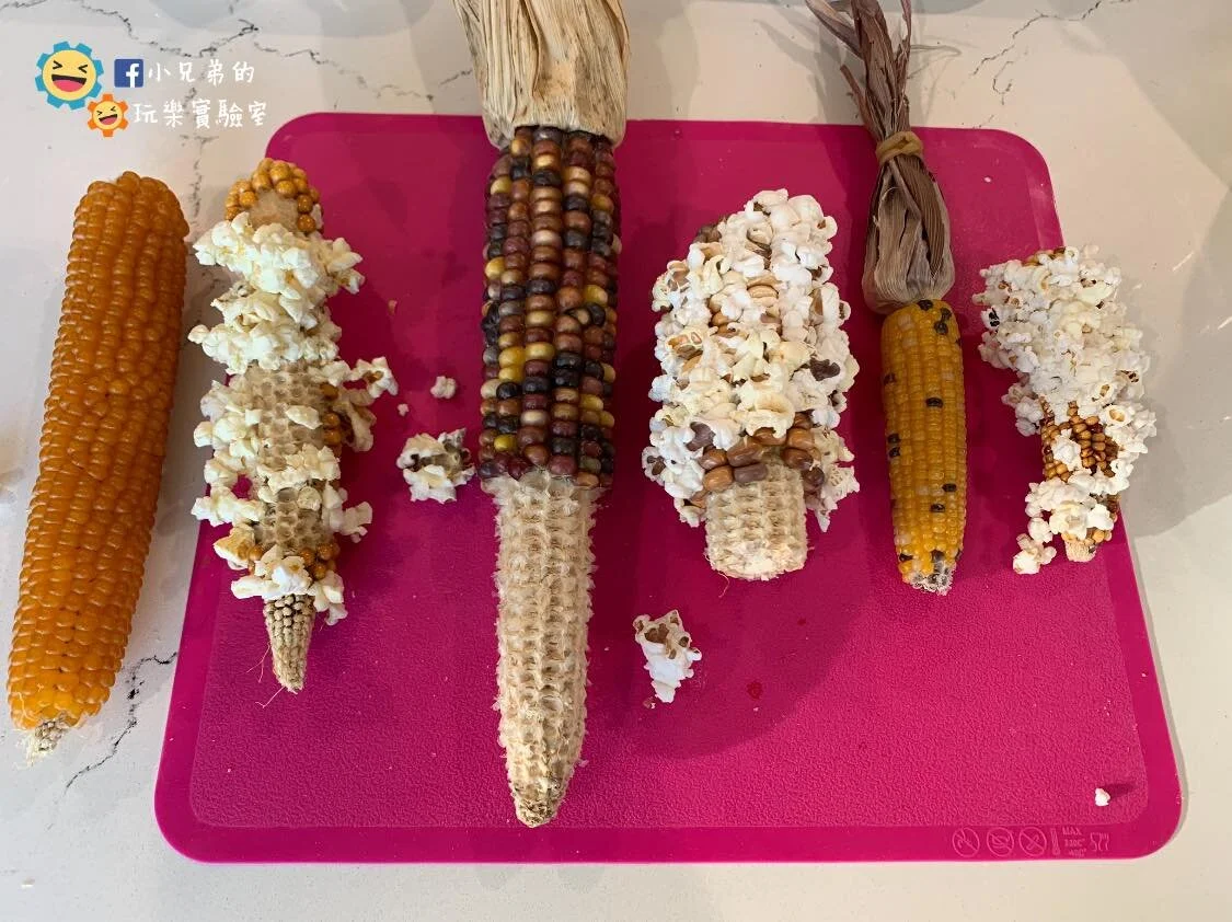 toybrain_corn2.jpg