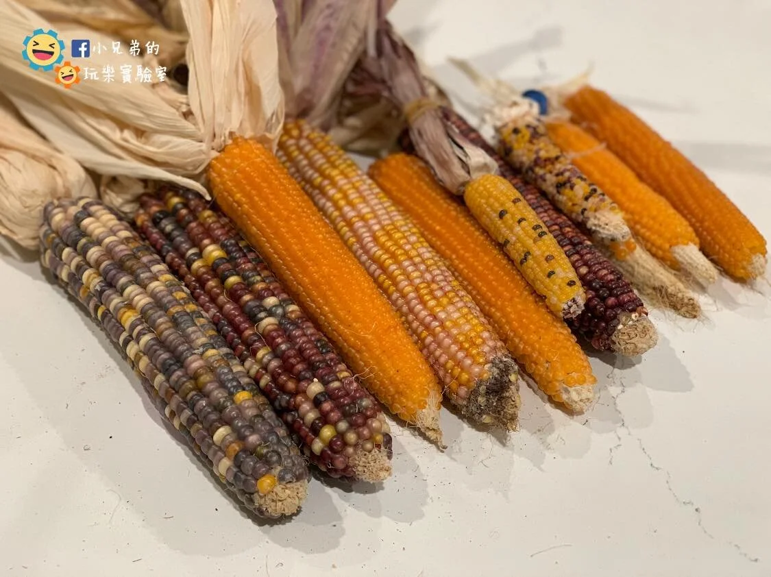 toybrain_corn.jpg