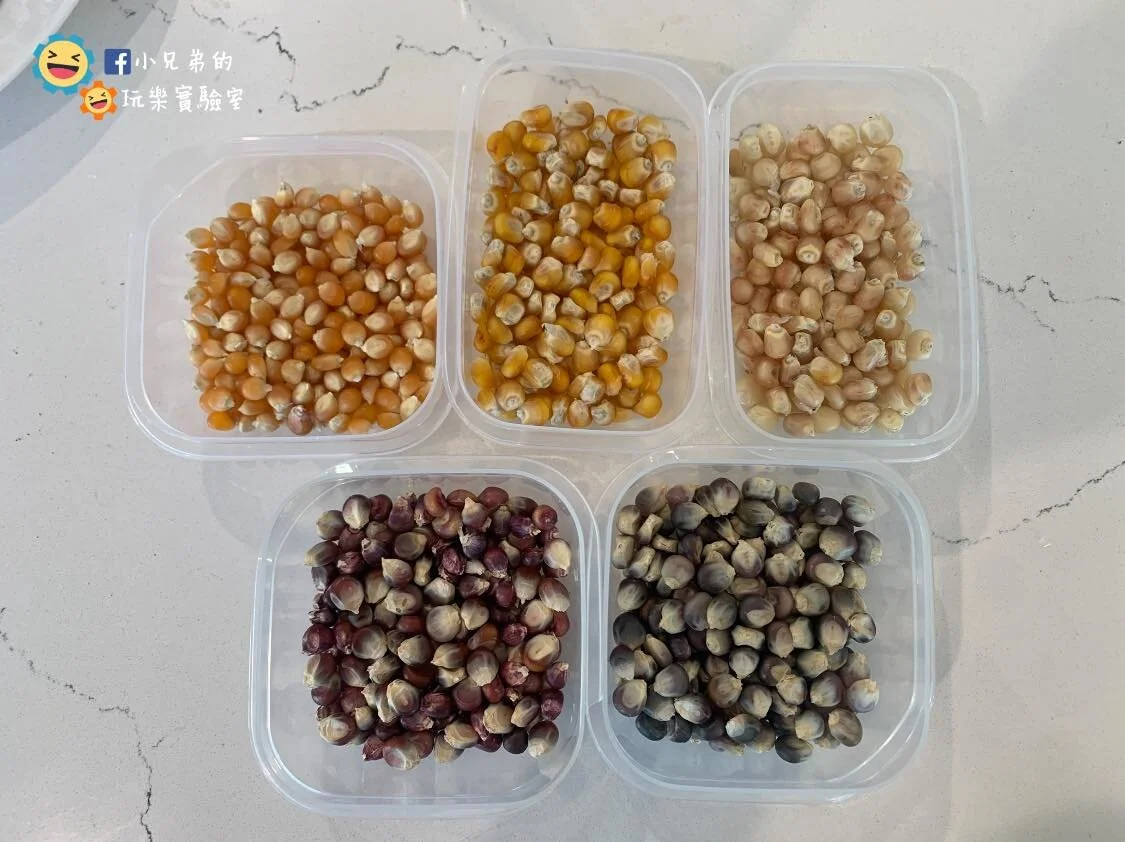 toybrain_corn11.jpg