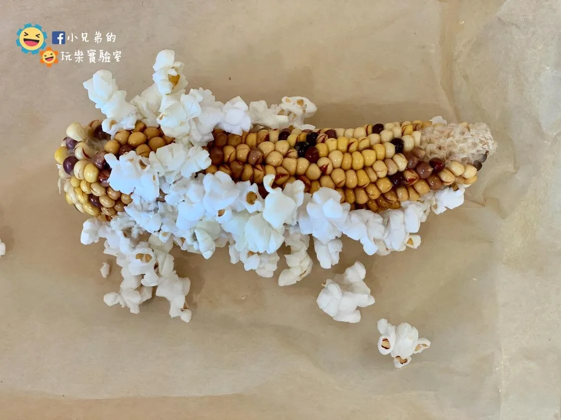toybrain_corn9.jpg