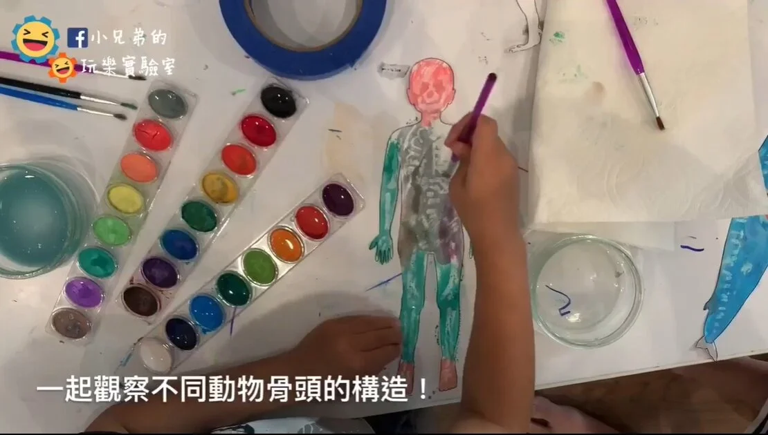 跟照X光一樣呢！小兄弟教你畫出人體骨骼