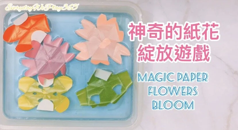 毛細現象是甚麼 ? 每天都要一起玩教你玩神奇的紙花綻放遊戲 !