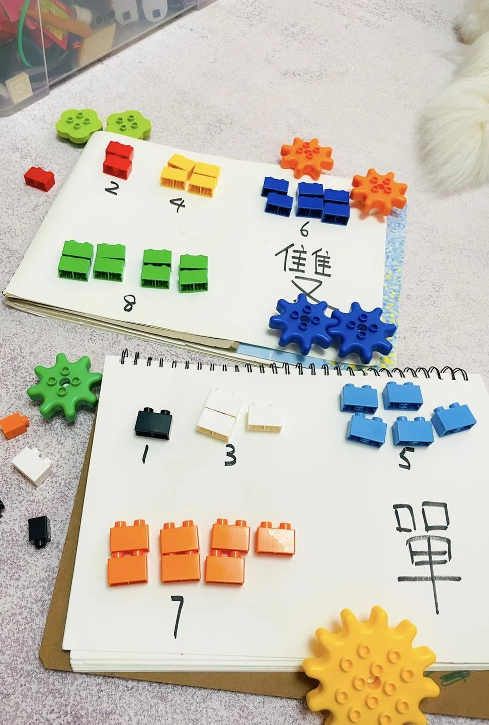 認識單雙數的遊戲！跟著Vi媽用積木輕鬆帶小朋友練習分辨單雙數
