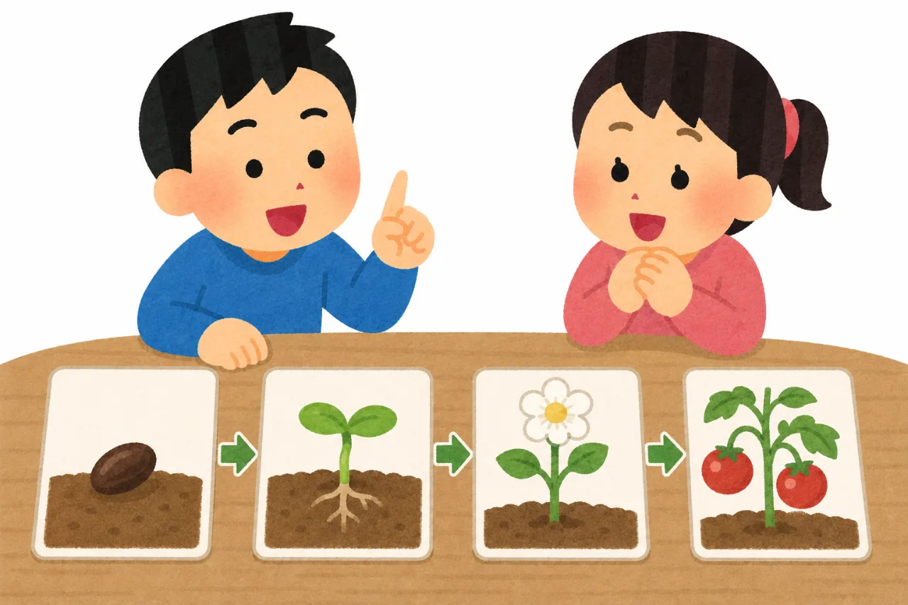 植物生長序列卡