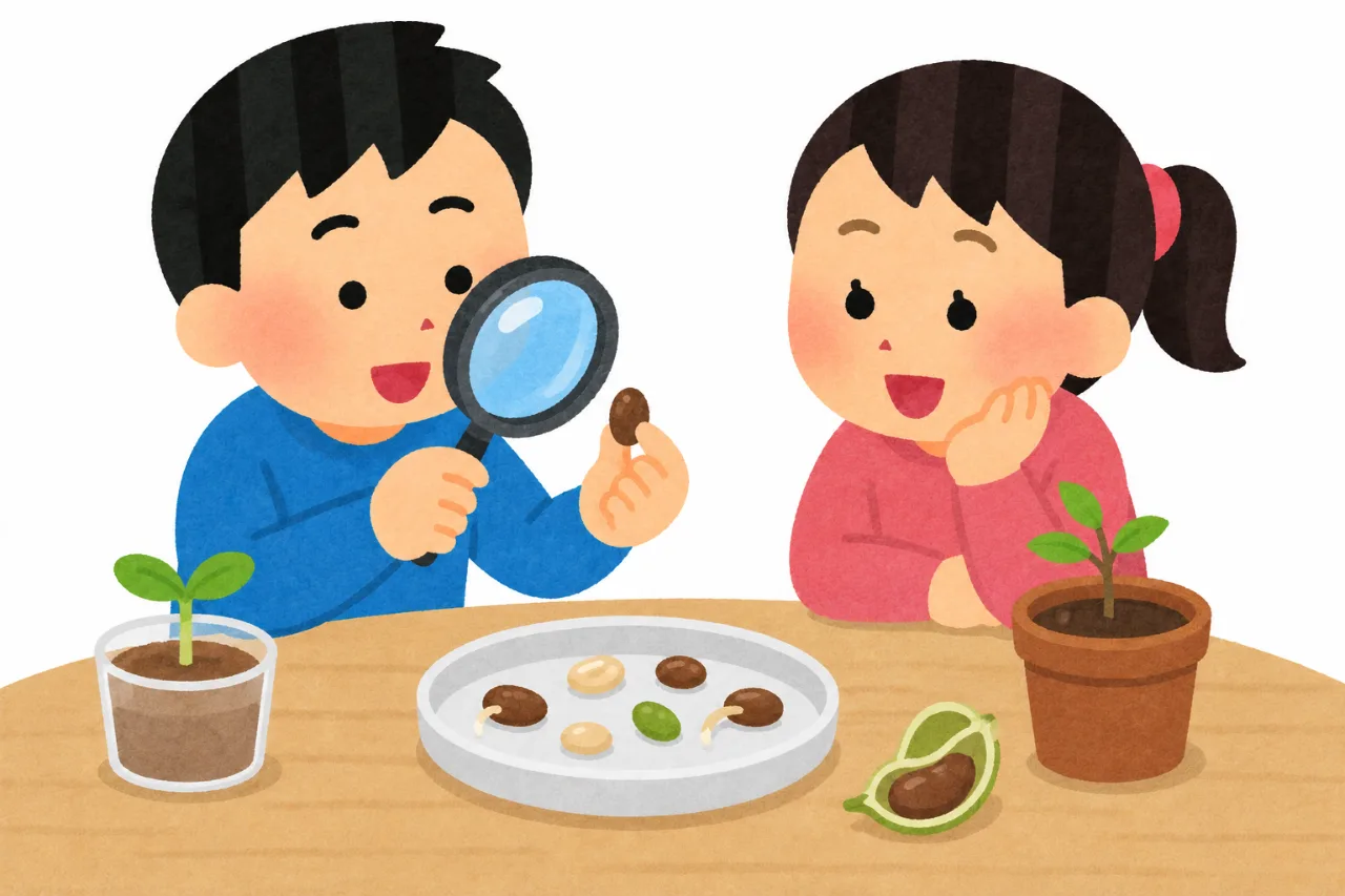 種子偵探