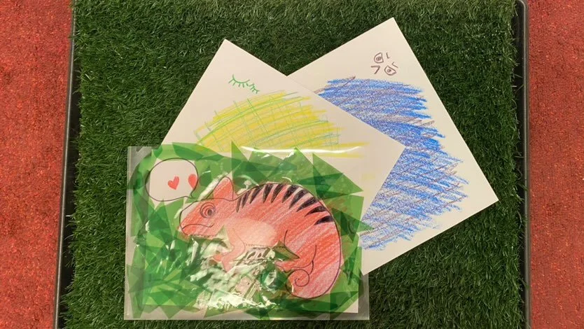 一起做變色龍美勞！五鱷繪室告訴你變色龍為什麼會變色！